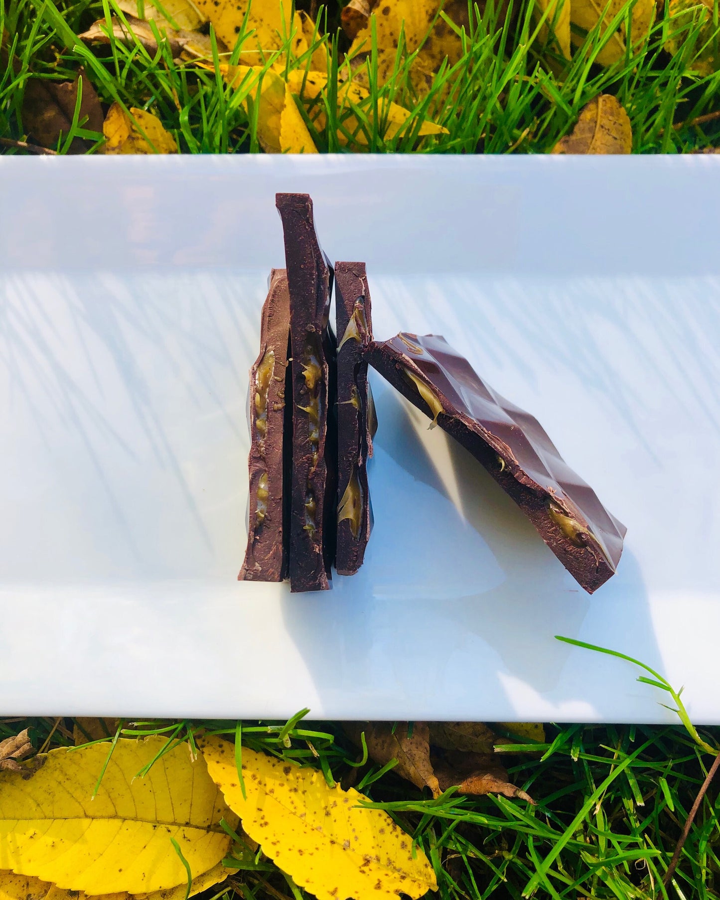 "Fall" into Michigan